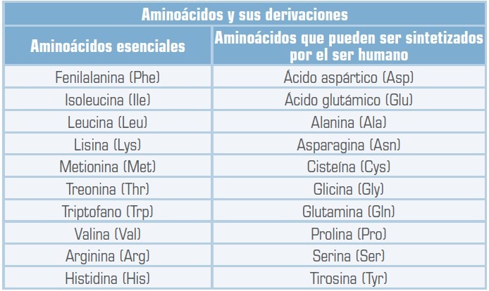 aminoacidos.jpg