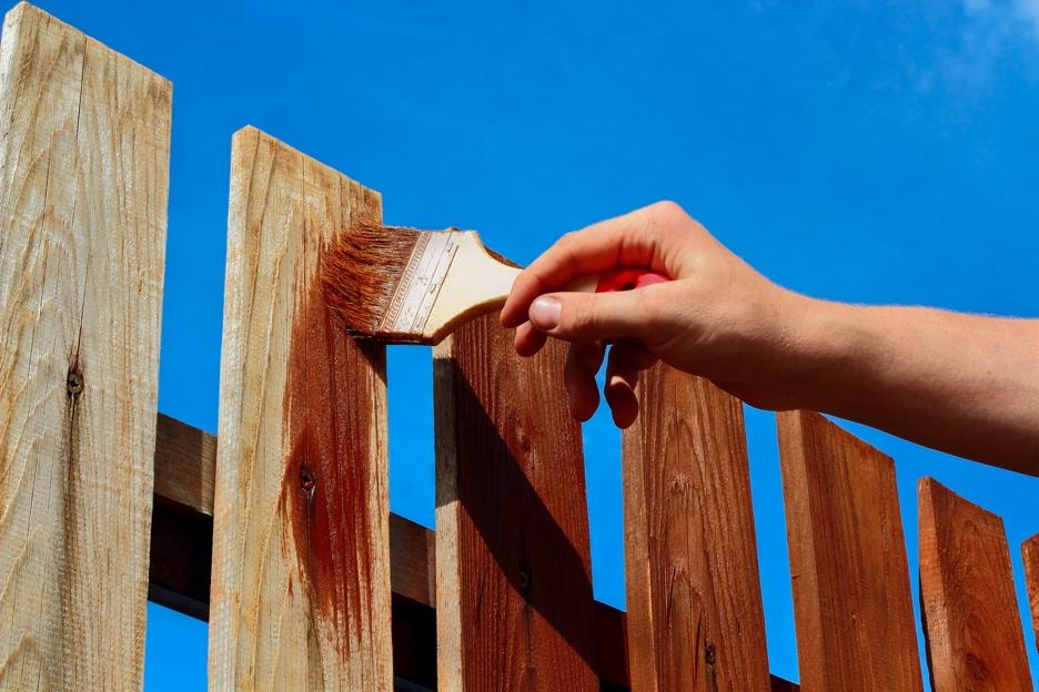 Person staining a fence