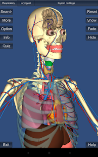 3D Anatomy apk