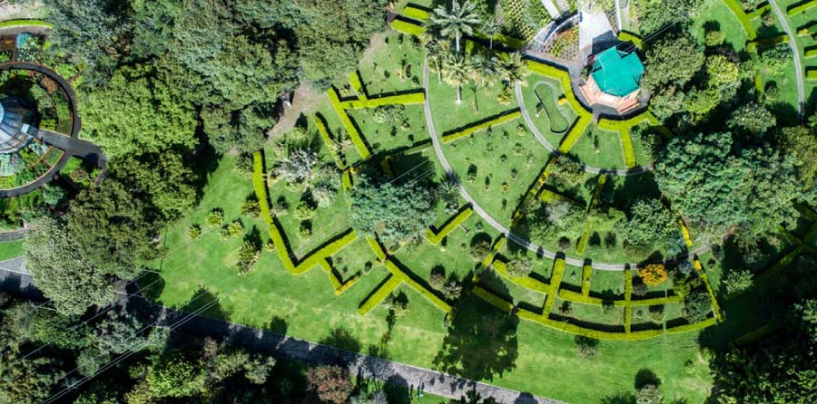 Jardín botánico