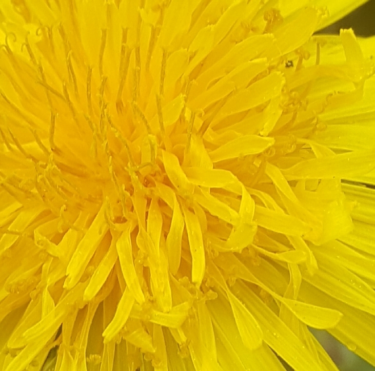 uCSySvgMBjhU 5OEFWfR0gNmM2FRjbagVgnh0IJ8V9Di i19nKzCgd4b YuI9AUcbkS3exYzcden sBjgvhRsKCeolCPf efwZdIFHS8muAFUooSP4De5dCjY9fJi8R9lmXPNvVNLicRlAo3Yg - Naturschönheiten