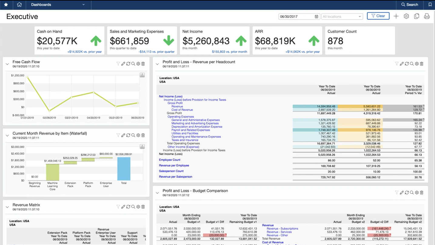A role-based dashboard with accounting info for a SaaS company.