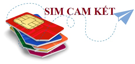 dai-ly-sim-so-dep-ha-noi-cap-1.jpg