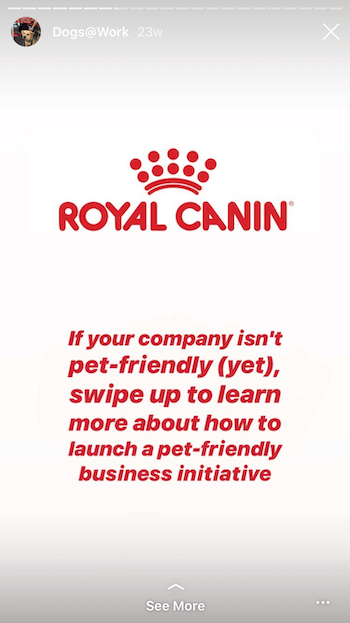 Instagram story kêu gọi hành động của Royal Canin