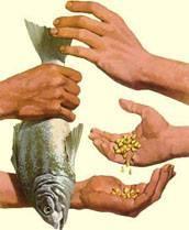 1.Without money, people exchange merchandise for merchandise, without value equivalence. For exemple, exchange of fish for corn.