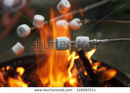 Image result for marshmallow in the fire