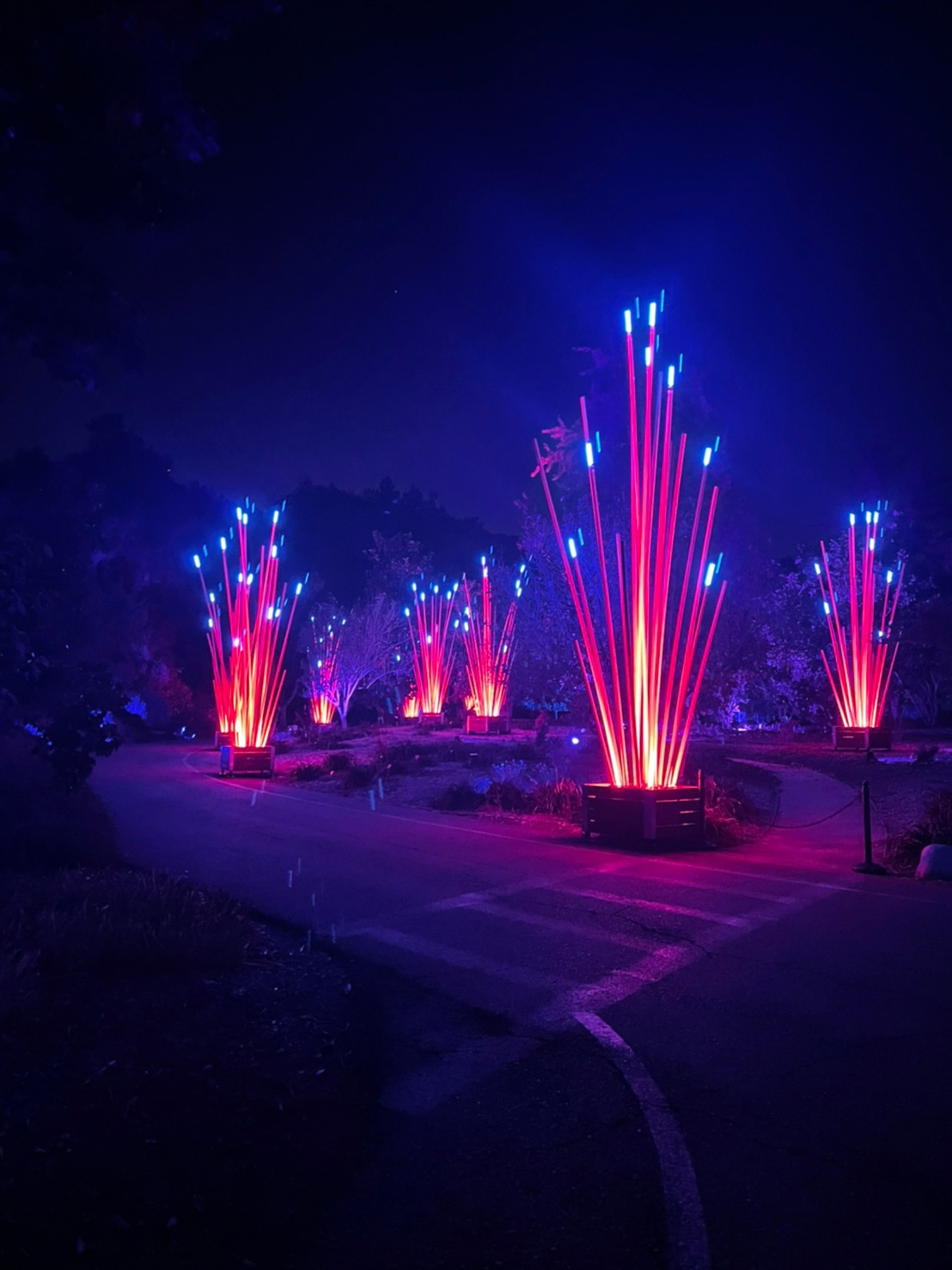 los angeles arboretum lightscape light up sticks