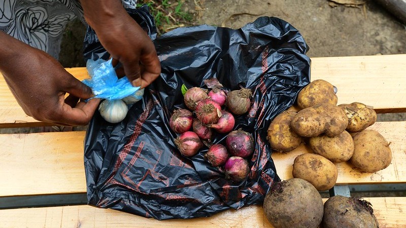 UN food security committee adopts guidelines on food systems and nutrition