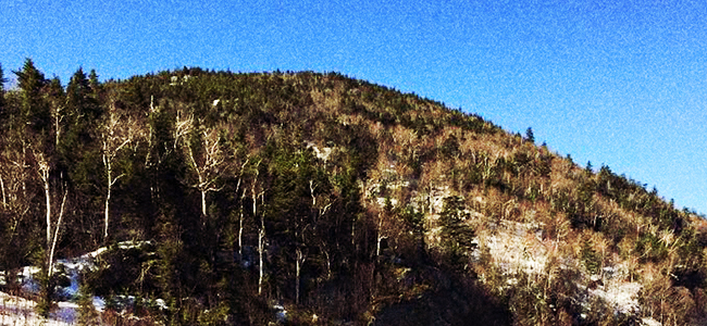 The Green Mountains In Vermont