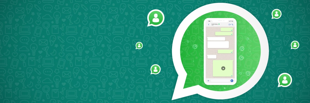 Conversa de WhatsApp API