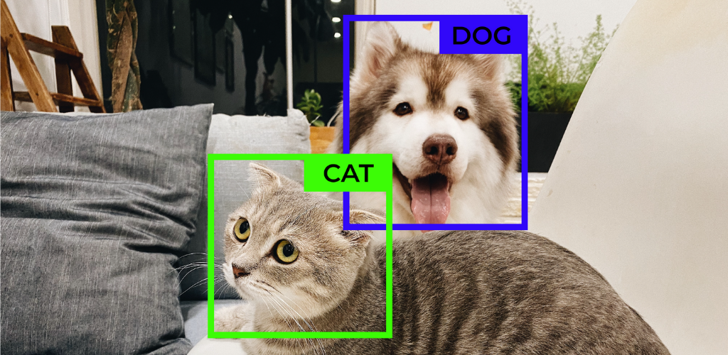 Cat & Dog are classified with AI technique, Object Classification.