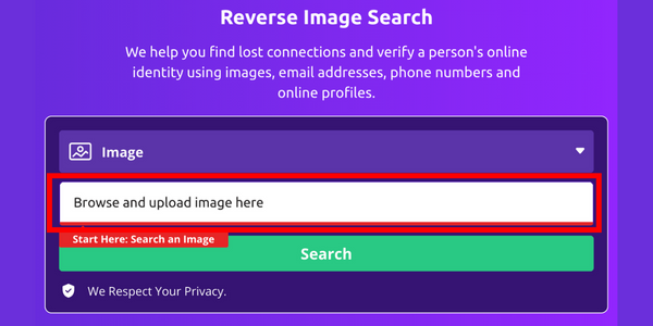 Social Catfish Reverse Image Search