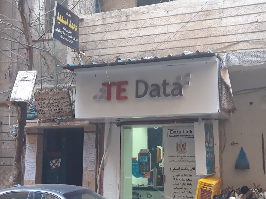 TE Data