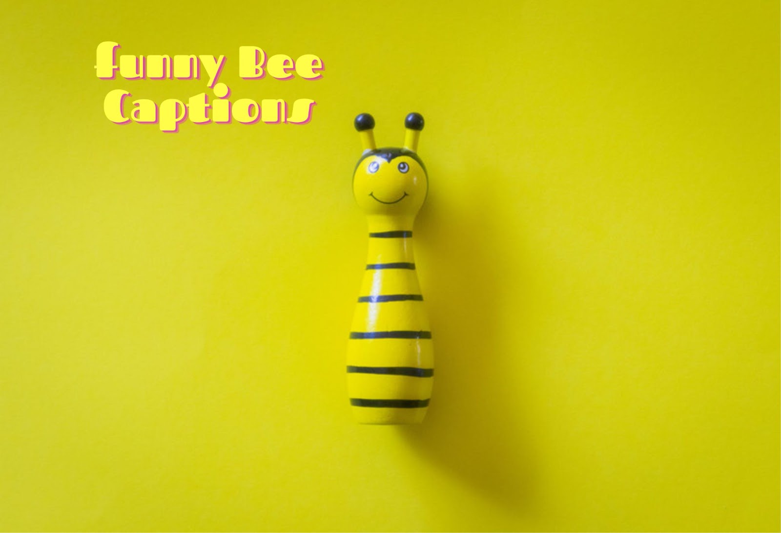 Funny Bee Captions