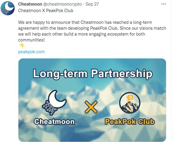 Cheatmoon partnerships