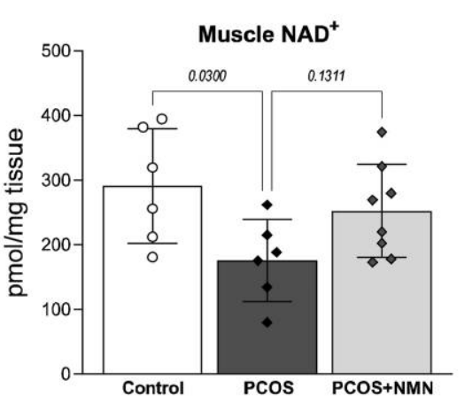 NMN tends to restore muscle NAD+ depletion