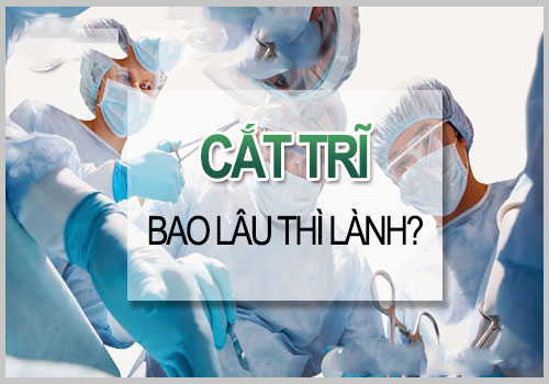 Cắt trĩ bao lâu thì lành