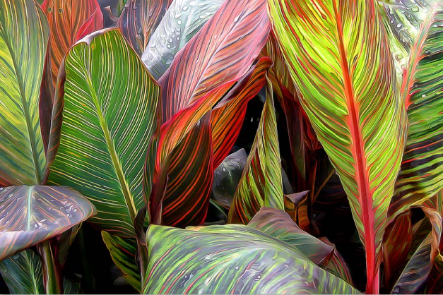 3D wallpaper for walls and wallpaper jungle design 