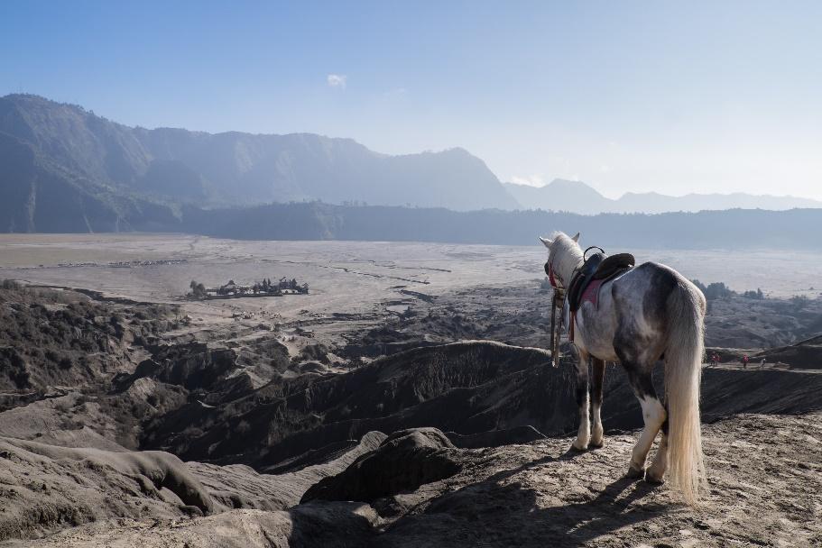 The Sea of Sand (Whispering Sand)