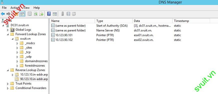 Configure DNS Service on windows server 2012 (21)
