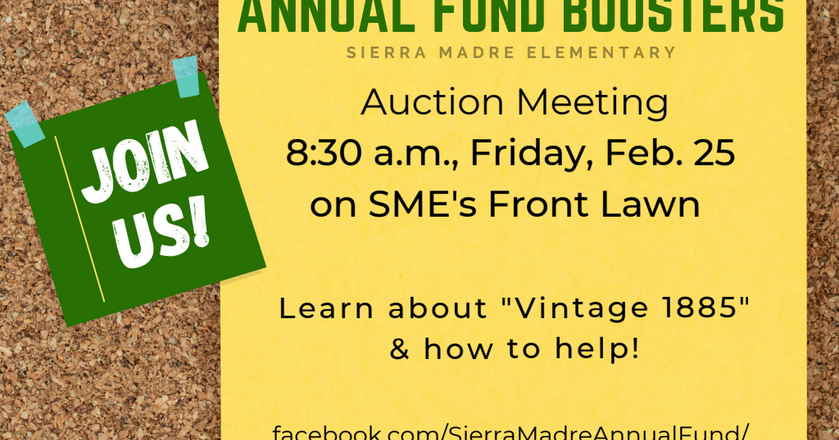 Auction Feb. 25th meeting.pdf