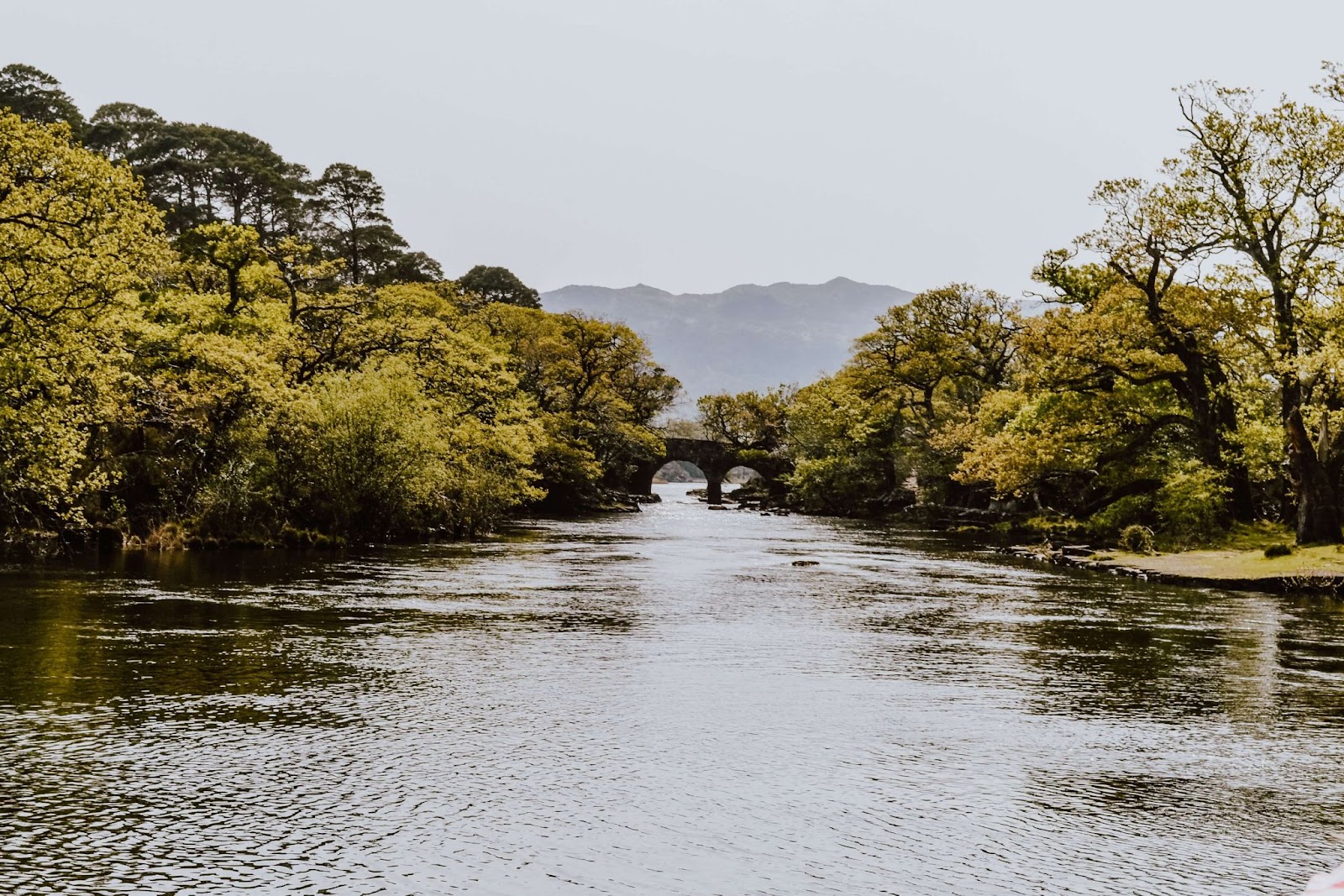 views at Killarney National Park