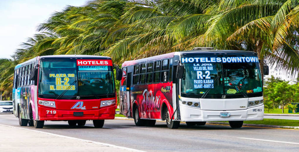Buses in Cancun Hotel Zone