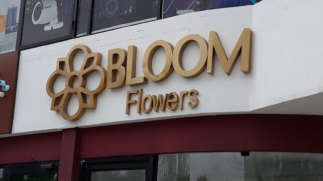 Bloom Flowers