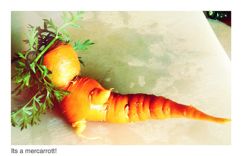 One of the odd carrots from
