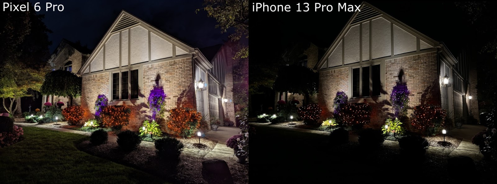 Pixel 6 vs Pro Reddit