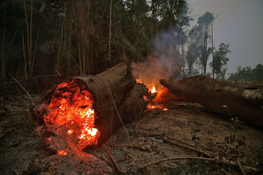 Brasil finalmente anuncia un comité latinoamericano para combatir los incendios del amazonas