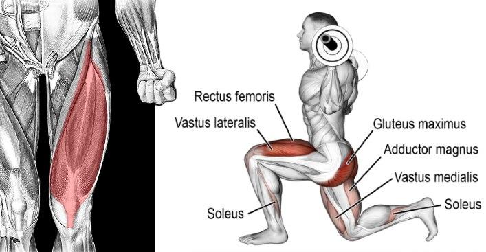Beginner Guide To Lunges Mg Activewear Pro Quality Gym Wear And Accessories Store