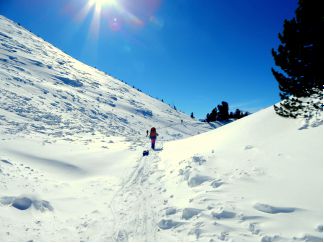 Отчет о лыжном походе по Алтаю (Катунский хребет)