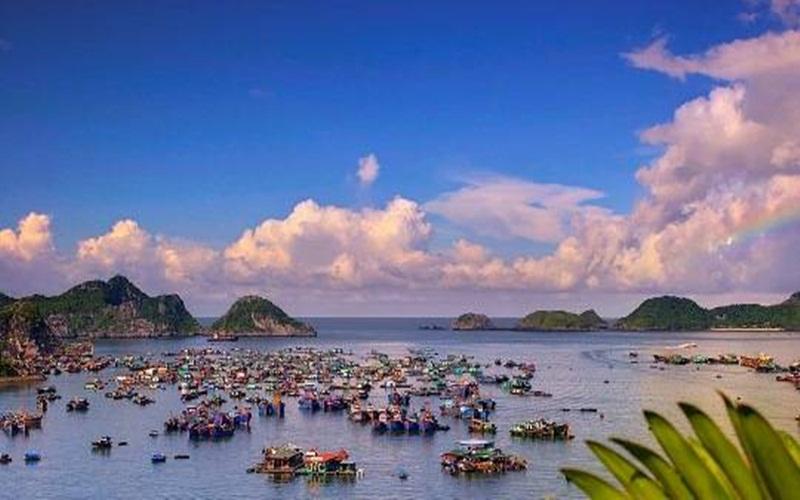 Alt: Làng chài trên biển Cát Bà