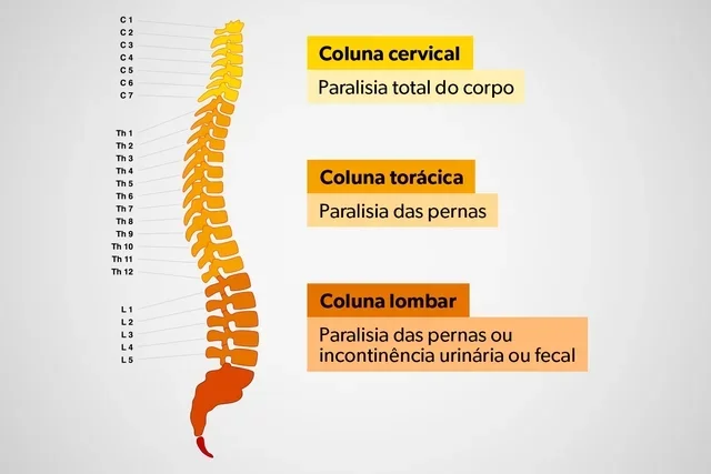 medicina da coluna 2/2