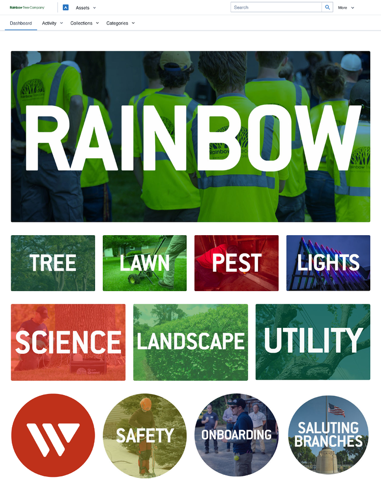 Blog_Rainbow Tree Dashboard_Nov 2020