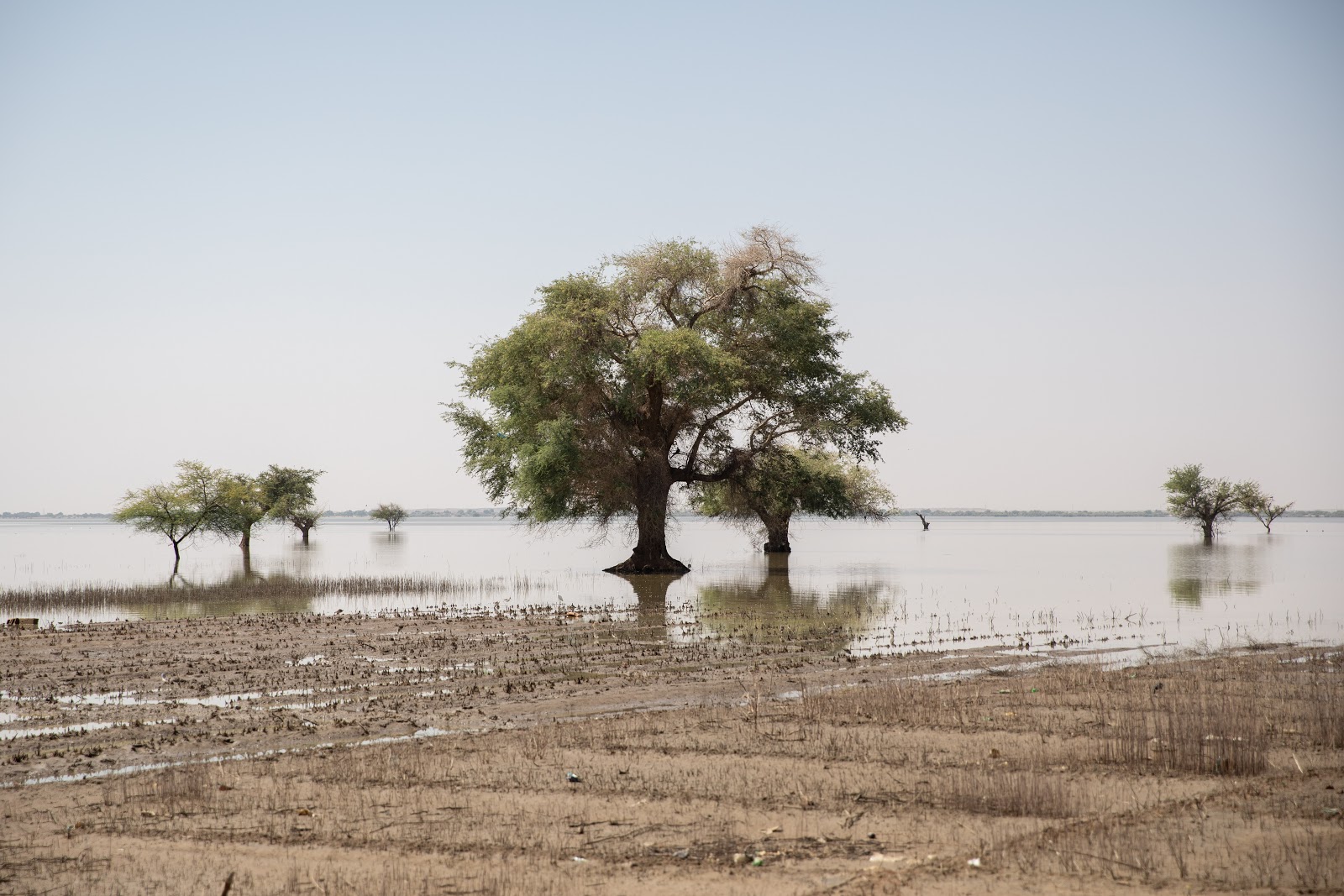 Agriculture land flooded by water in SHuqaylab Al Khour village