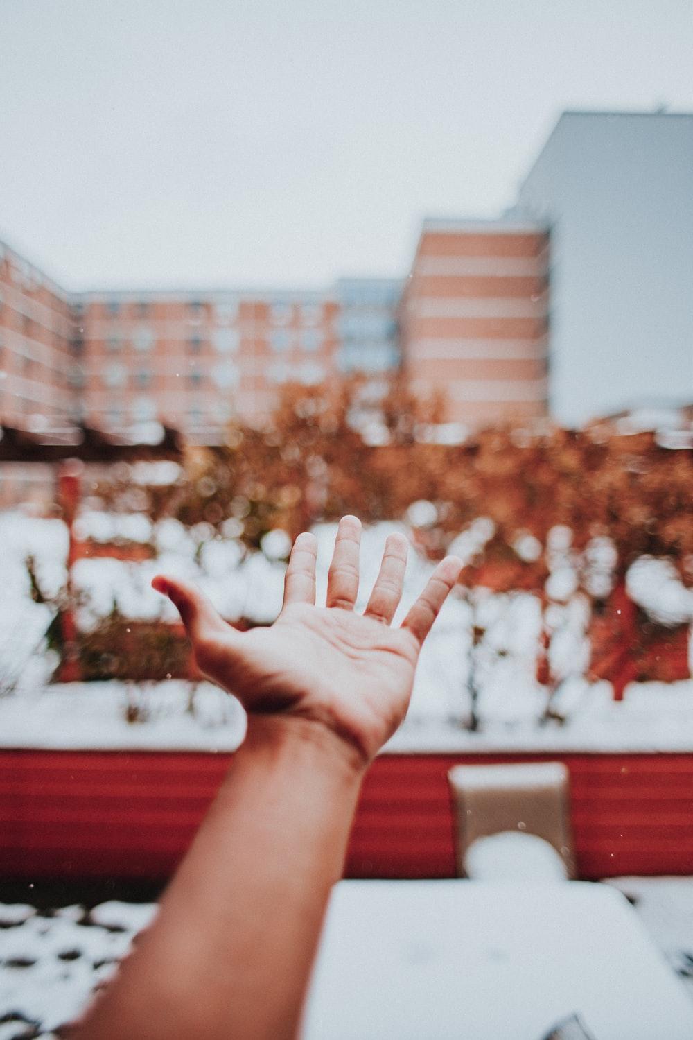 person holding red and white string lights