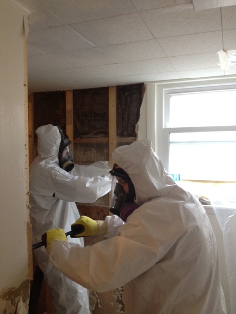 Removing Mold From A Bedroom