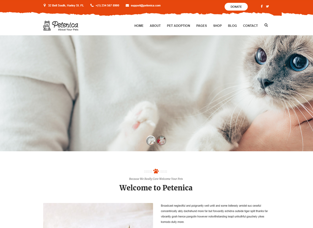 Petenica: tema de WordPress de adopción y cuidado de mascotas