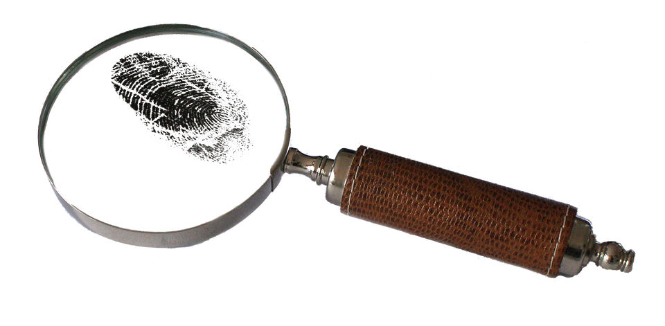 Magnifying, Glass, Detective, Mystery, Lens, Magnifier