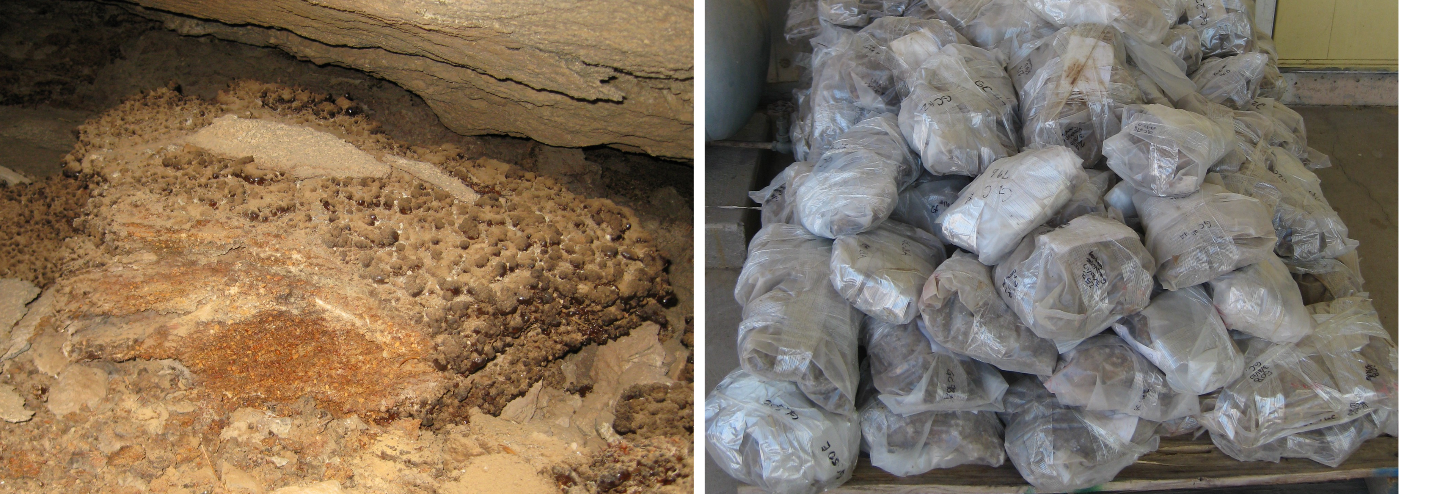 Figure 3. a) Midden showing weathering rind along top and sides, lower inner material with juniper seeds. b) Middens wrapped in plastic for transportation. 