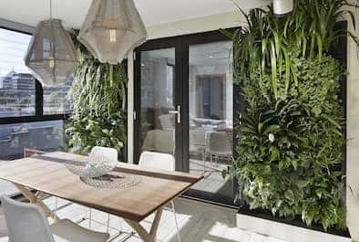 taman vertikal diy