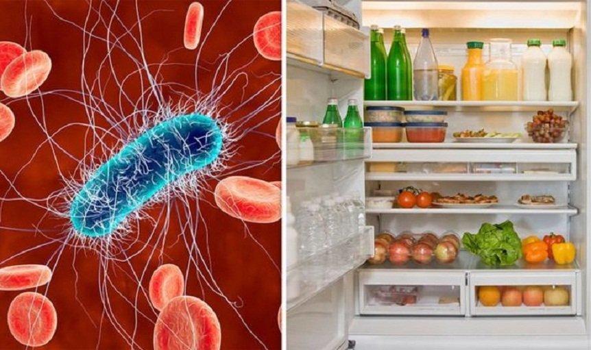 Bảo quản thực phẩm đúng cách để bảo vệ sức khỏe cho gia đình bạn