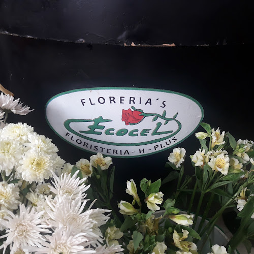 Opiniones de Floreria's ECOCEL en La Perla - Floristería
