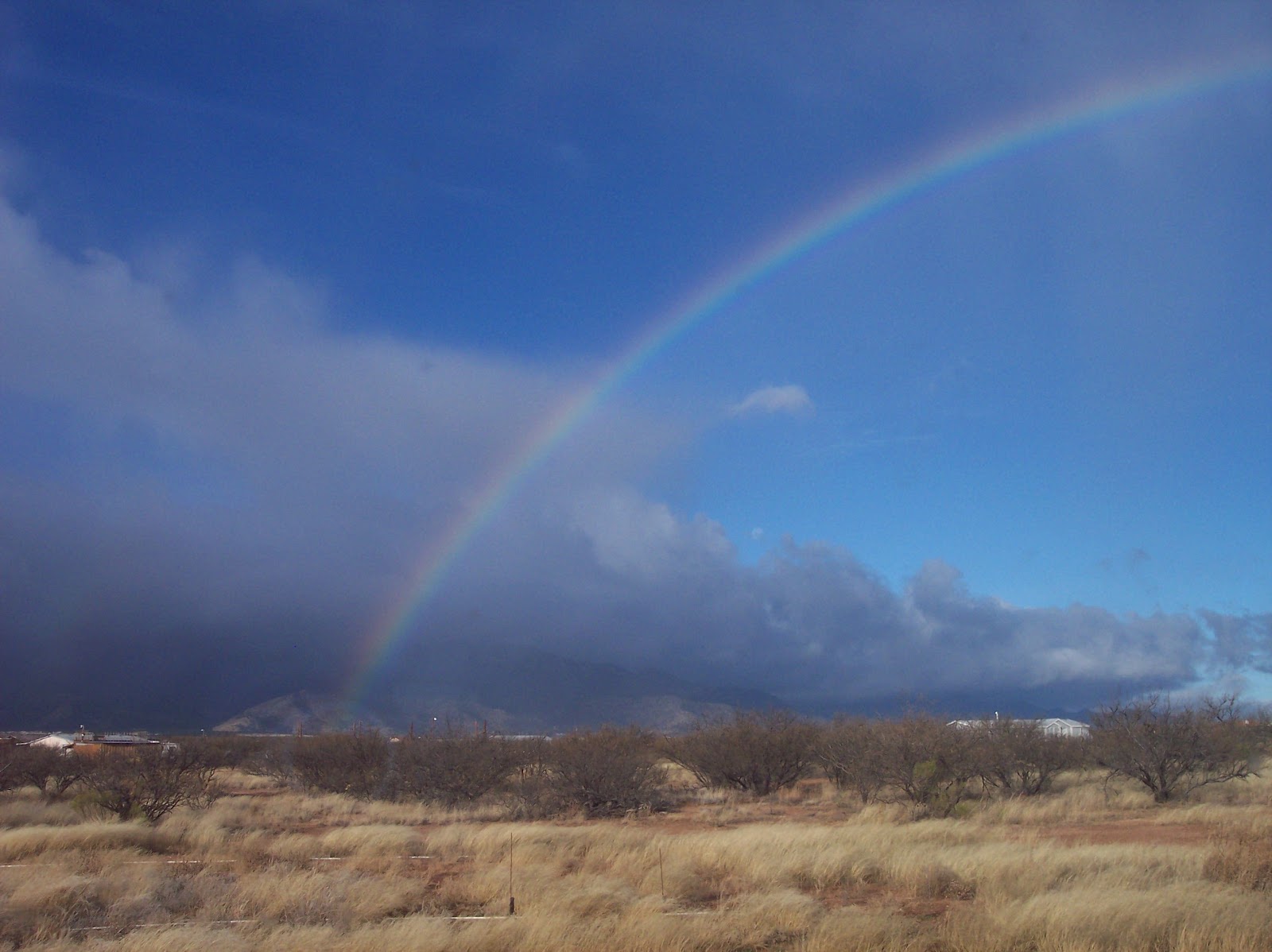 haboobs and monsoons with rainbow in the sky with gray clouds