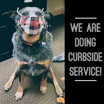 A dog wearing a mask

Description automatically generated with medium confidence
