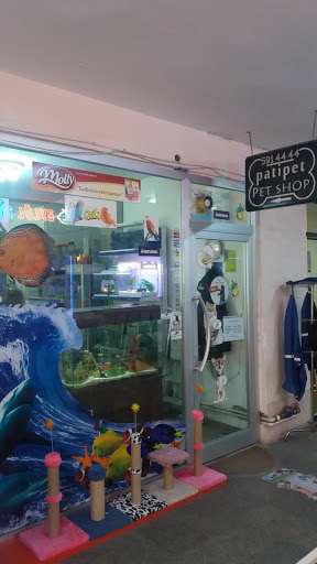 Patipet Pet Shop | Avcılar İstanbul - Evcil Hayvan Malzemeleri Mağazası