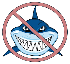 Image result for no sharks