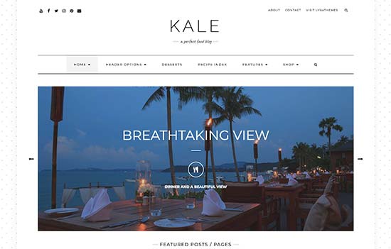 WordPress Themes: Kale Pro